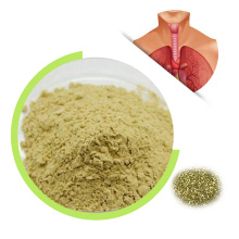 Click High quality Quercetin Extract Powder with Low Price